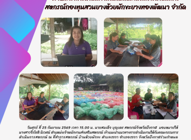 กลุ่มส่งเสริมสหกรณ์ 3 ... พารามิเตอร์รูปภาพ 15